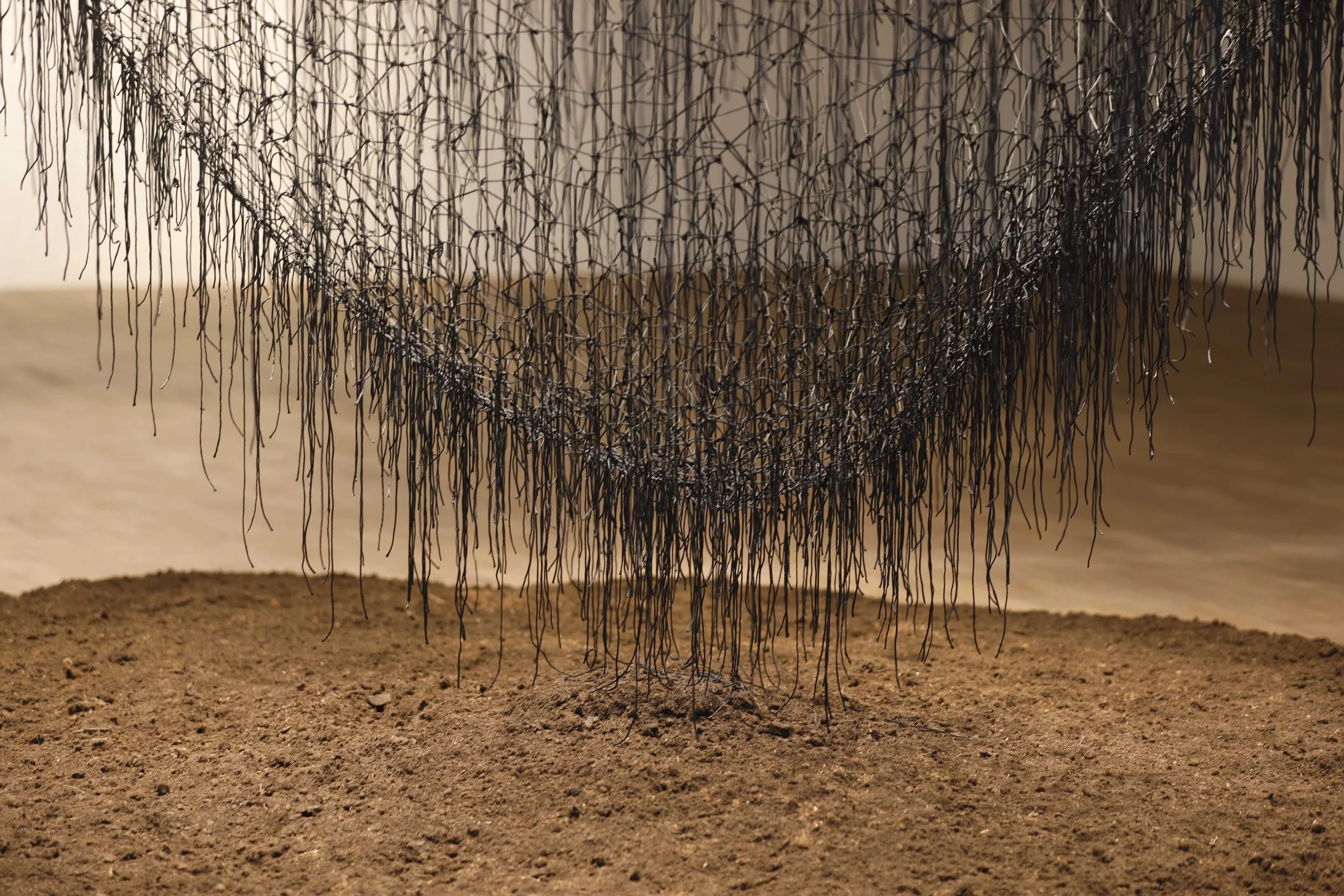 CHIHARU SHIOTA–塩田千春